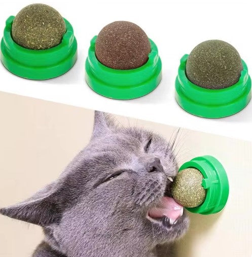 Pala de arena para gatos + catnip